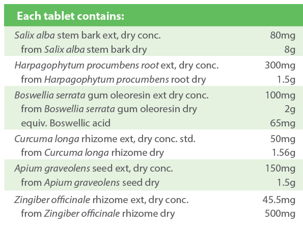 Tablet composition chart with herbal extract details