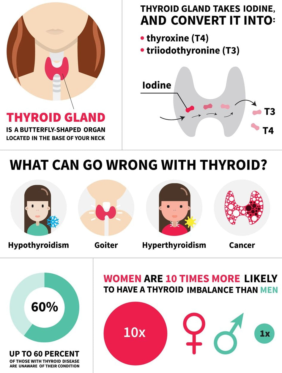 Educational infographic about the thyroid gland, its functions, and potential thyroid imbalances, such as hypothyroidism, goiter, hyperthyroidism, and cancer, with statistical information and hormone level indicators.