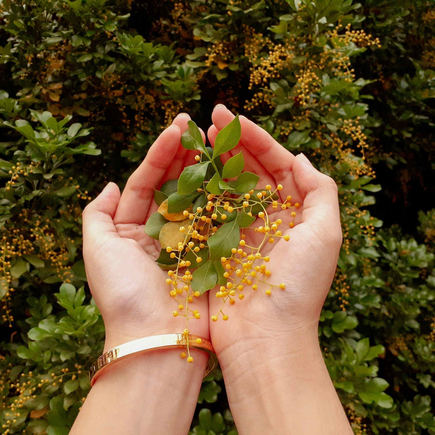 Oncology Support