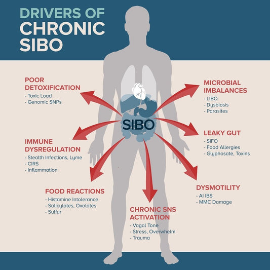 Description of the SIBO breath test